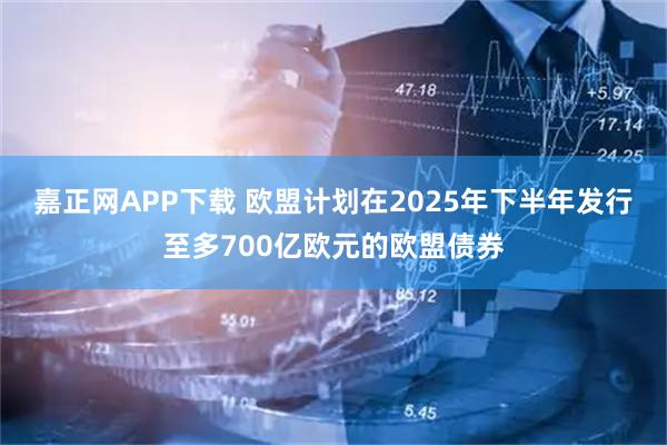 嘉正网APP下载 欧盟计划在2025年下半年发行至多700亿欧元的欧盟债券