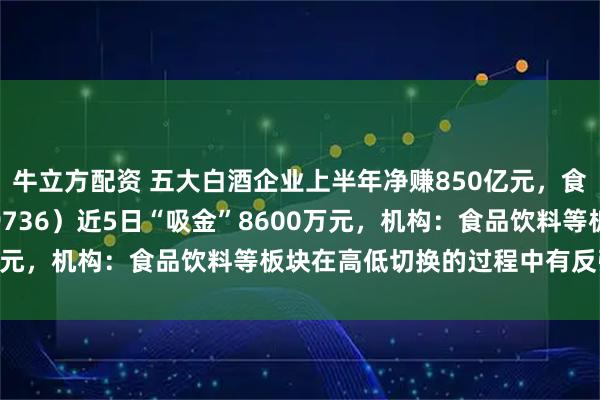 牛立方配资 五大白酒企业上半年净赚850亿元，食品饮料ETF天弘（159736）近5日“吸金”8600万元，机构：食品饮料等板块在高低切换的过程中有反弹需求