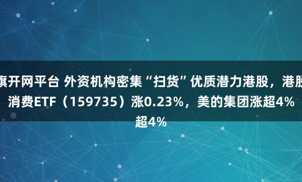 旗开网平台 外资机构密集“扫货”优质潜力港股，港股消费ETF（159735）涨0.23%，美的集团涨超4%
